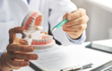 Dentist pointing to a model of the teeth
